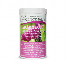 Papildas virškinimo gerinimui Lactobac EQ