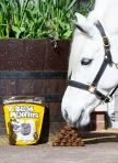 WALDHAUSEN