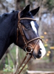 WALDHAUSEN