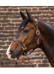 Odinis kantaras Rosegold Odinis kantaras Rosegold