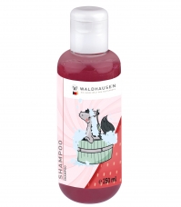 Kvapnus šampūnas, 250 ml