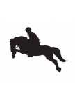 Lipdukas Show Jumper Lipdukas Show Jumper