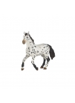 Žirgo figūrėlė Black Appaloosa Žirgo figūrėlė Black Appaloosa
