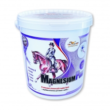 Žirgui Žirgui