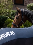 ESKADRON