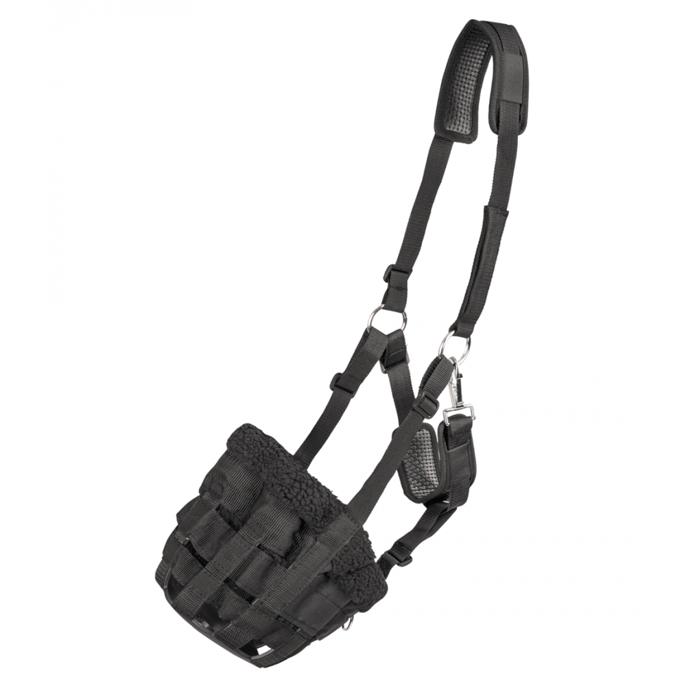 Antsnukis ganymui Comfort Antsnukis ganymui Comfort
