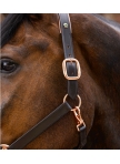 Odinis kantaras Rosegold Odinis kantaras Rosegold