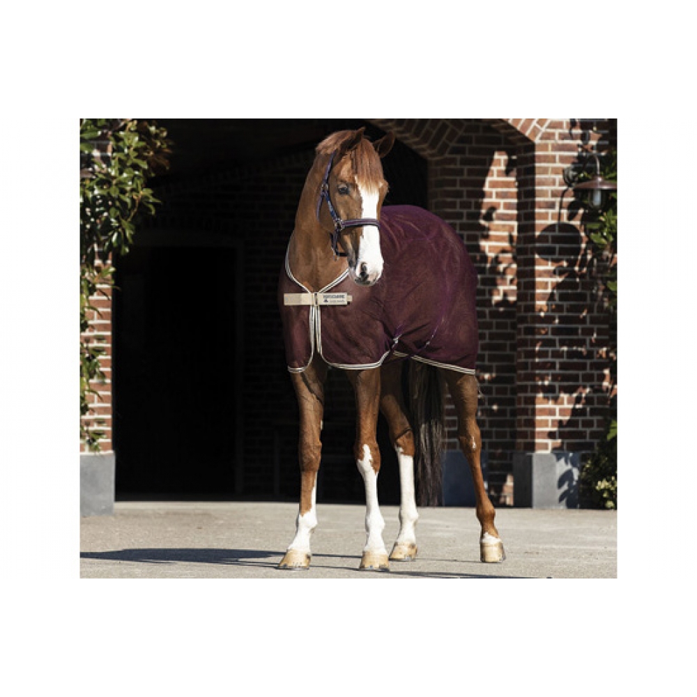 Amigo® Net tinklinė gūnia, 155 cm Amigo® Net tinklinė gūnia, 155 cm