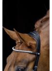 Kamanos Pro Anatomic Kamanos Pro Anatomic