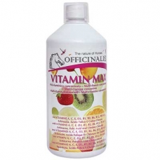 Papildas Vitamin Max