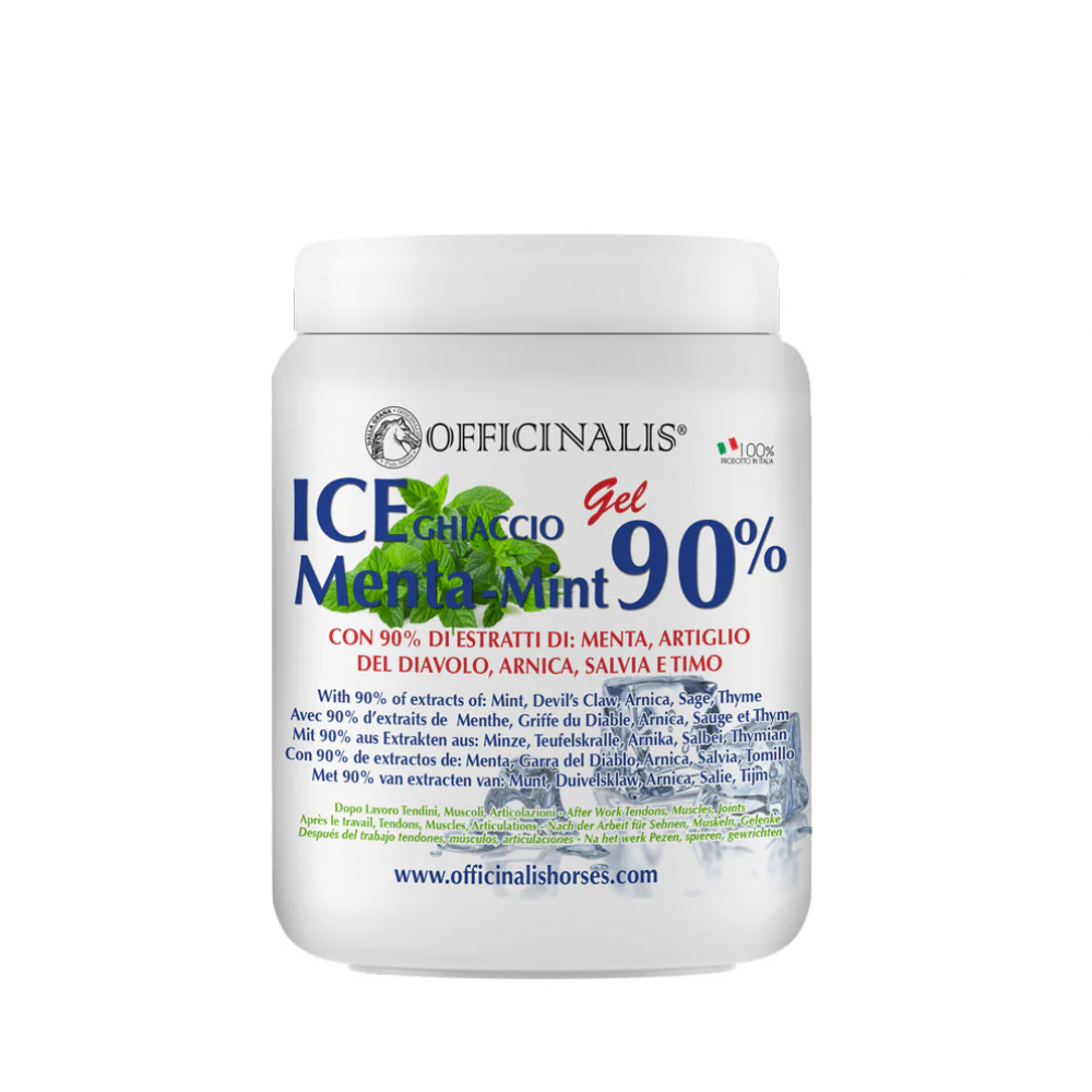 Šaldantis gelis Ice 90 % su Pipirmėte, 1000 ml Šaldantis gelis Ice 90 % su Pipirmėte, 1000 ml