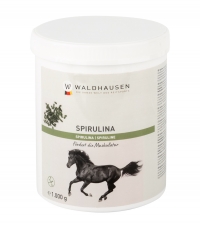 Maisto papildas Spirulina, skatinantis raumenų vystymąsi