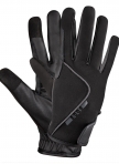 WALDHAUSEN