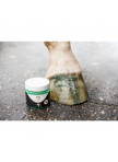 Blizgučiai kanopoms Hi Gloss Glitter Hoof Polish Blizgučiai kanopoms Hi Gloss Glitter Hoof Polish