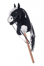 Raiteliui Raiteliui