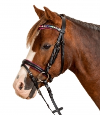 Kamanos Pinky Star poniams