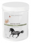 WALDHAUSEN